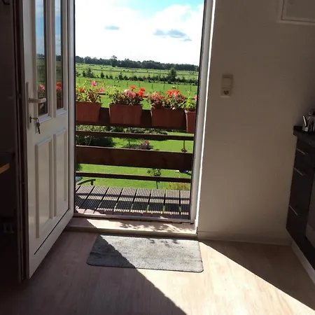 Ant Blink Großheide