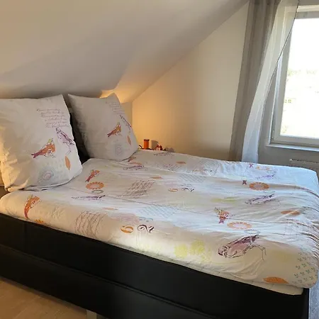 Ant Blink Apartamento