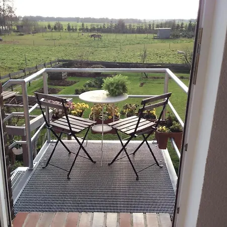 Ant Blink Apartamento